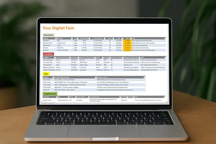 A laptop on a desk showing a Digital Twin data spreadsheet